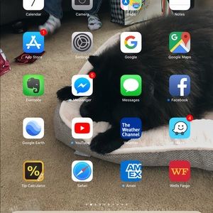 Meet your Posher, Carol